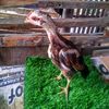pemulaayam75