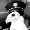 الضيغمي@