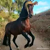 karim