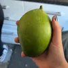 tiktokaccount6767
