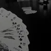 am20.20lie