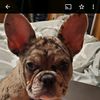 cece62615