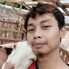 Adinkambing.id