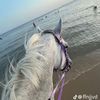 ruba.alsharhan