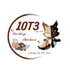 10T3 NĐC