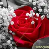 vinzn05