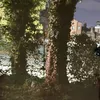 yourexsshadow