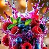 saifan.ahmed08