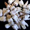 teetharenotbones_