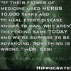 drherbalhremedies