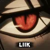 liik4290