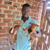 jose.dogs.rescue