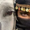 m_maha291
