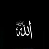user685050317