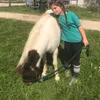 lescopsducheval