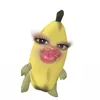 dwixie.m
