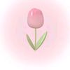 user793917639