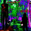 sad_v_krovi8898