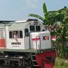 ditt78004