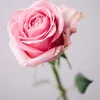 piaa123_7