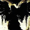 _monarch_666