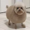 semrn21