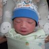 anggela.puspitasa