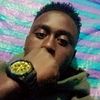 meles.lema8