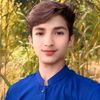 muhammad.hamid633