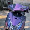 sanrego_47