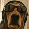 DancingDog123