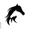 harriswheatley1