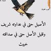 user9776097572462