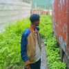 kur_boy4