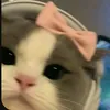 myawwww_8882