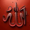 user7458818428207