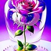 user6020432338372