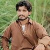 jalil.sarkani5