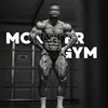 monstergym27