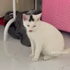 khanhmy2908k