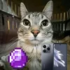 ameertech5