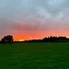 derblondehalt