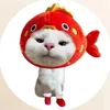 dangdang1484