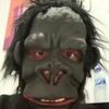 ardi_klepper123