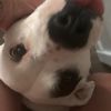 giselle.gonzalez65