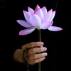 CònLại AnYên 💐