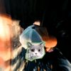 fikiopet1