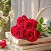 hira.qeen8