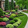nisarahmad8945