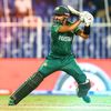 Cricket lovers